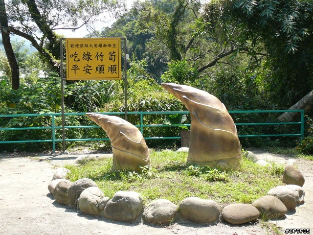 [分享]窮大學生的碳纖平把公路車V.S賣場車 之 - 小烏來風景區之旅