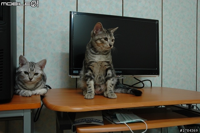 [開箱文]三隻鳥-VX2250-LED-非常不專業開箱