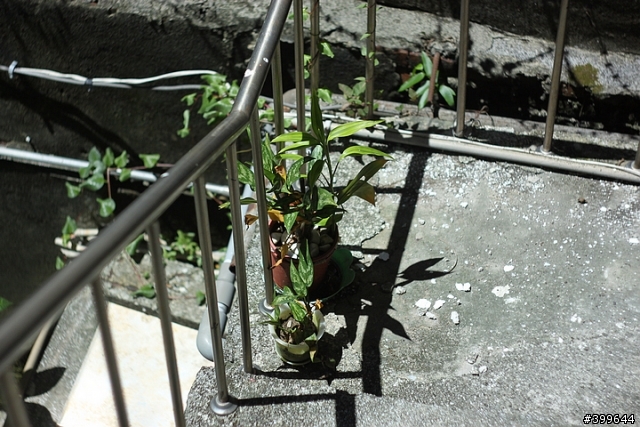 [新手DIY]CANON KISSX3/500D之裂像屏自我安裝大作戰
