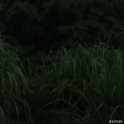 S90這樣算ccd壞點?