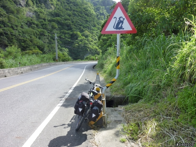 台23線的驚魂之旅，加碼六十石山賞金針花
