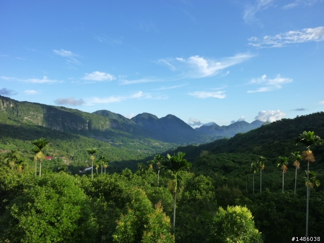 台23線的驚魂之旅，加碼六十石山賞金針花