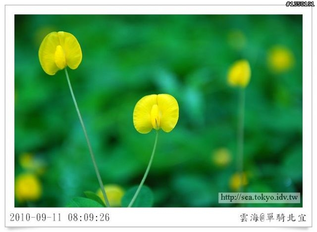 【雲海漫漫】武暖美食前菜之北47-1