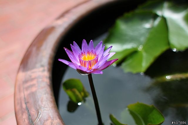 [開箱文]好用的冷門鏡 Canon EF 28mm F/1.8 <錯版重貼>