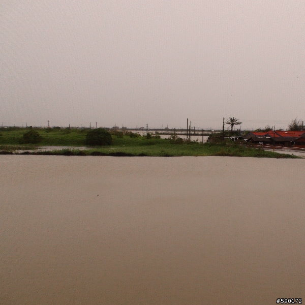 台南縣學甲鎮 風強雨大 ～ （附近住戶整片屋瓦飛走）