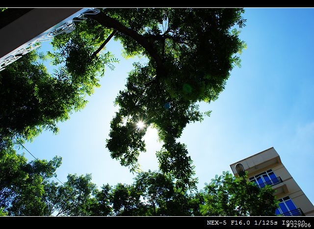 NEX5D 北越~下龍灣 輕便旅遊機
