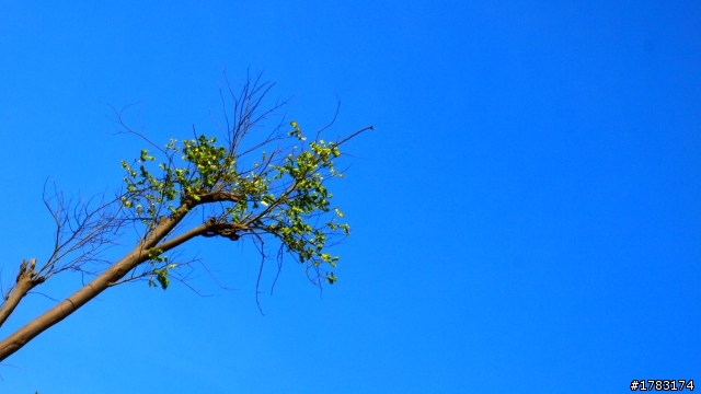 我的E-P2 配上 4/3 40-150mm 怎麼會拍出這種照片？？
