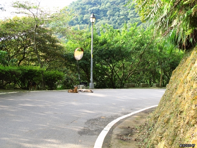 出外靠朋友！行李靠箱神！環島之旅~~(圖很多請耐心收看)