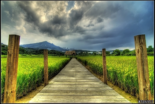 我從網路看人家用超廣角拍風景後的解讀心得: 不必要的空洞被放大了
