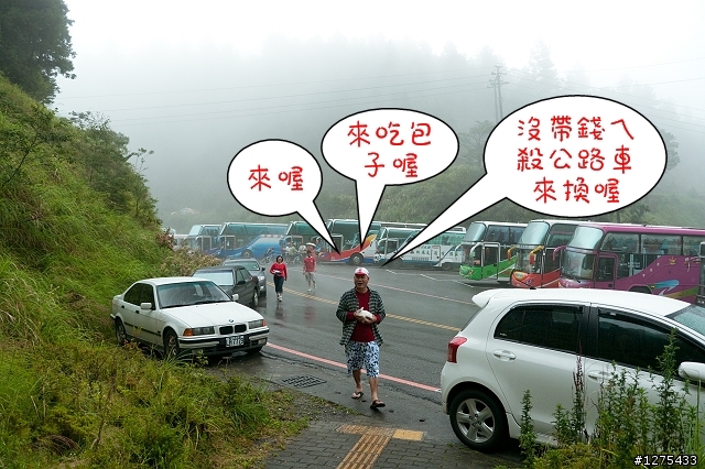 [遊記]雲端慢騎之太平山一日遊(2010.09.05)