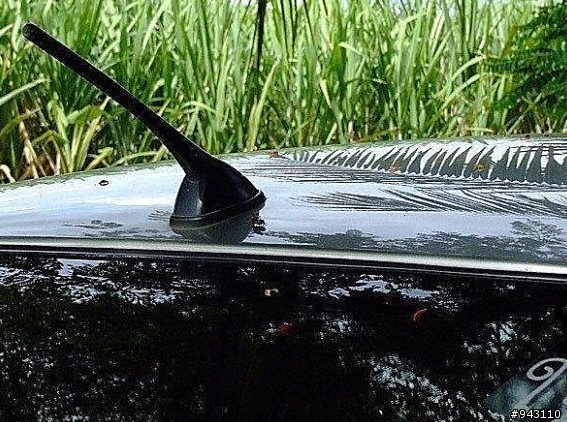超清晰的!用超高倍鏡頭野外補抓到的車?圖