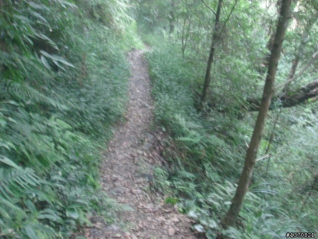 巴福越嶺古道單車行