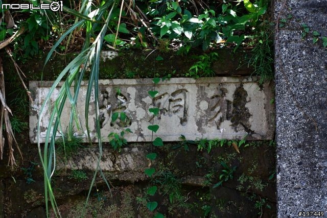 猴硐貓村-除了貓之外也有很多好拍的呢