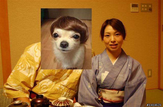 日本是真的很多美女或是只是塞泡棉包裝而已?(附圖)
