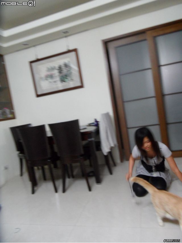 妹妹玩貓，我玩…9/17更新...
