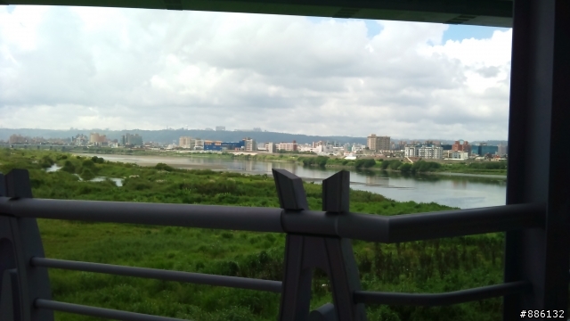 [遊記分享]2010大台北國際無車日