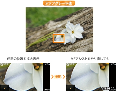 圖多！！9/22更新。說好的自動AF呢？補上新Ｅ環鏡的熱呼呼的照片！還有乳摸新顏色的NEX-3/5再加 FF機種 A77。Sony真是火力全開阿！