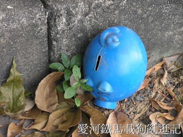 感謝兩位不知名女大生，路見石塊，搬到路邊，避免意外發生。。有圖加鐡馬載狗亂逛照片（已加小狗圖）