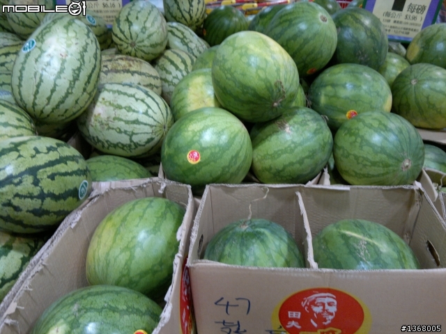 大小姐親試~1200萬象素N8相機的震撼