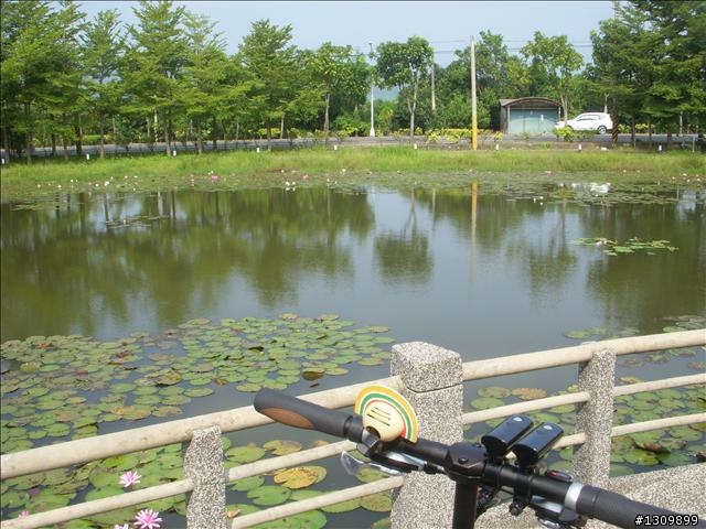 自我挑戰系列 ─ 台南環南站200K，被風吹散的殘念...