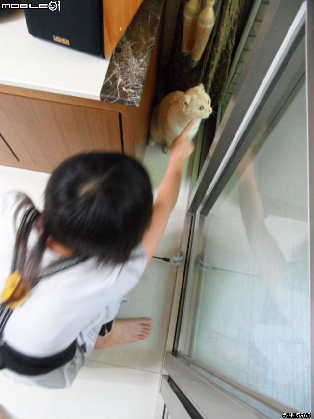 妹妹玩貓，我玩…9/17更新...