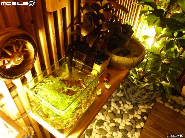 [DIY] 陽台變身電腦工作室&造景 (09/14更新) ..............