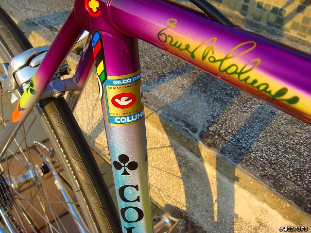 我的COLNAGO