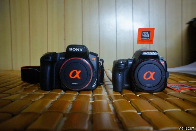 [分享]~我的雙機流A55 & NEX5