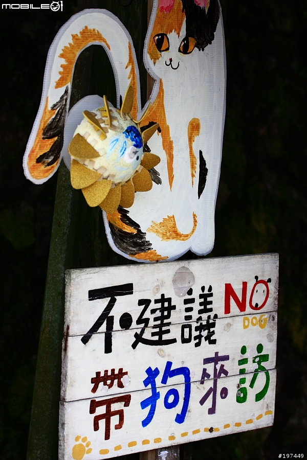 猴硐貓村-除了貓之外也有很多好拍的呢