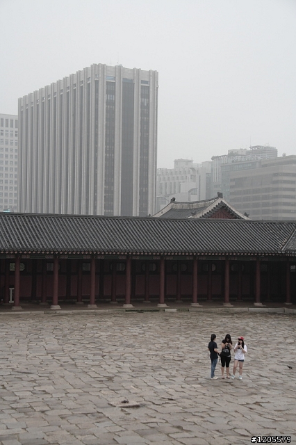 我最愛的鏡頭 - Canon 18-200mm