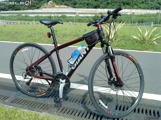 Giant ROAM1 非常低調的一台車