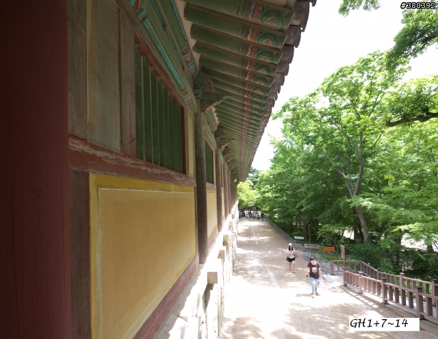 GH1/E-P1韓國行之1—東部