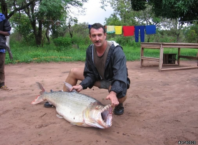 比食人魚還恐怖的魚