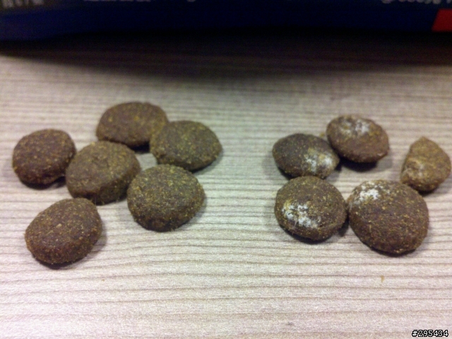 [抱怨文]愛肯拿的飼料到底在賣什麼?發霉的成犬雞肉(更新)業務親自換一包