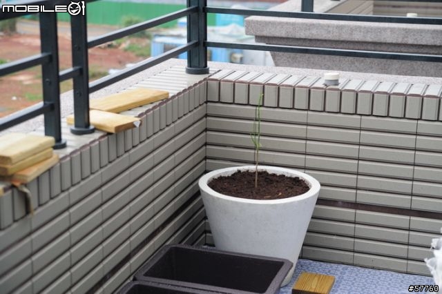 我的八號花園