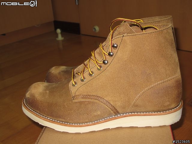 【開箱】Red Wing 8181 10D