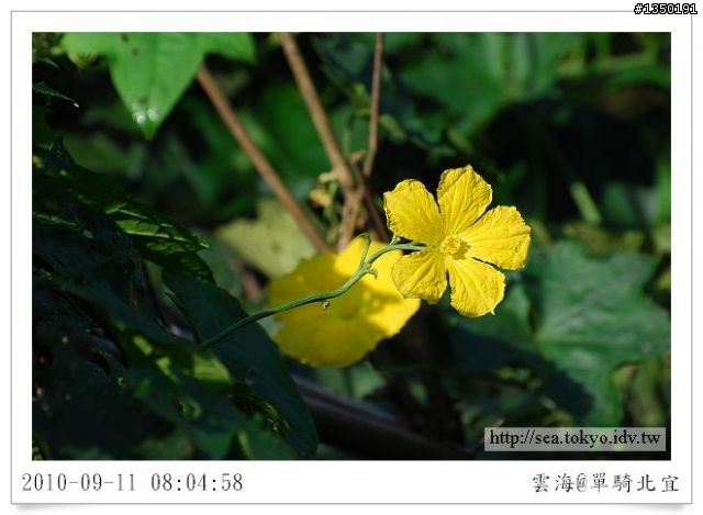 【雲海漫漫】武暖美食前菜之北47-1
