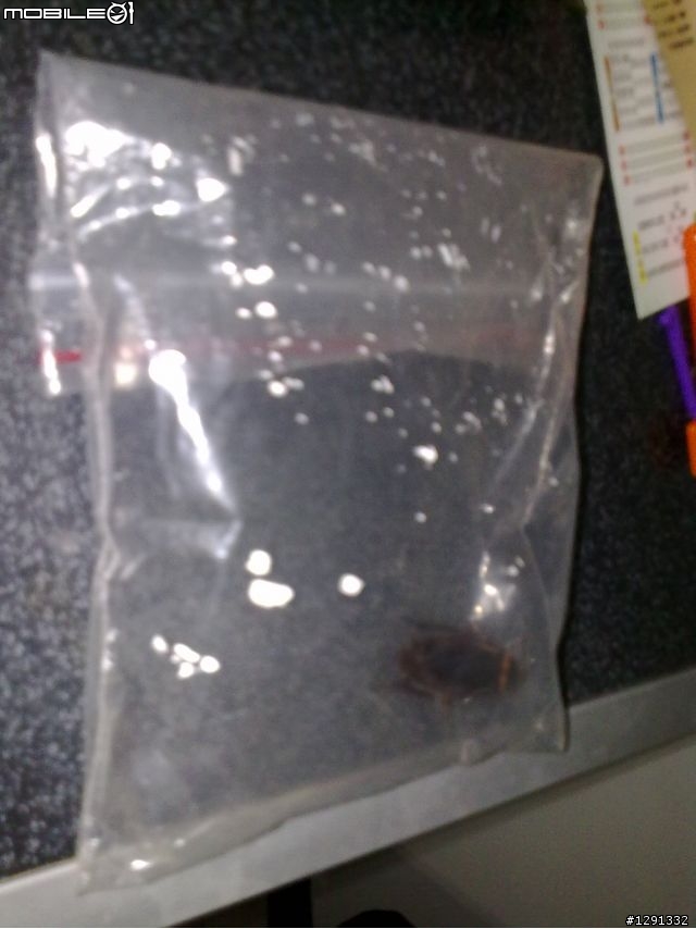 乎有龐然大物，跋山倒樹而來，蓋一小強也!!!