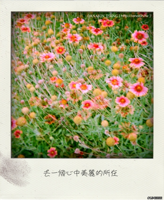 [交流]照片搭歌詞蓋平房可行嗎?