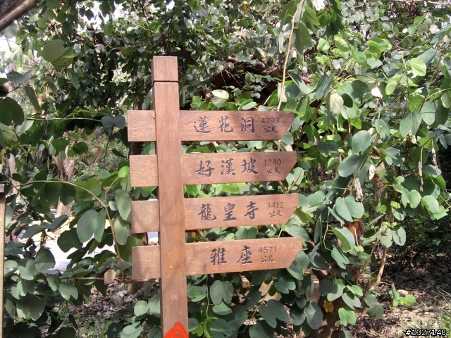 [登山] 柴山動物園登山口 ( 凡那比把柴山吹的好慘 )