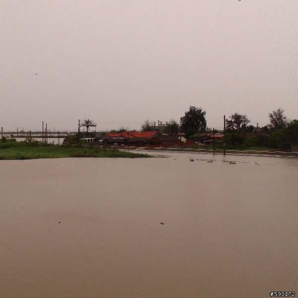 台南縣學甲鎮 風強雨大 ～ （附近住戶整片屋瓦飛走）