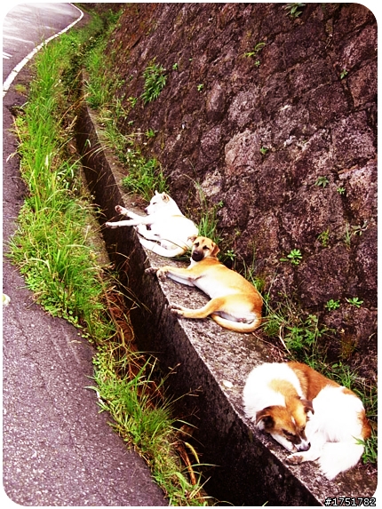 【不騎不行】我們一家都愛玩+++ 北海岸噴跑 +++