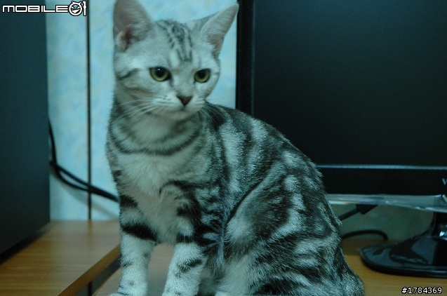 [開箱文]三隻鳥-VX2250-LED-非常不專業開箱