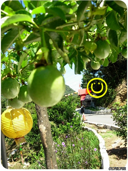 【不騎不行】我們一家都愛玩+++ 北海岸噴跑 +++