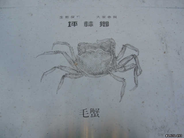 颱風過後106乙正騎與逆騎