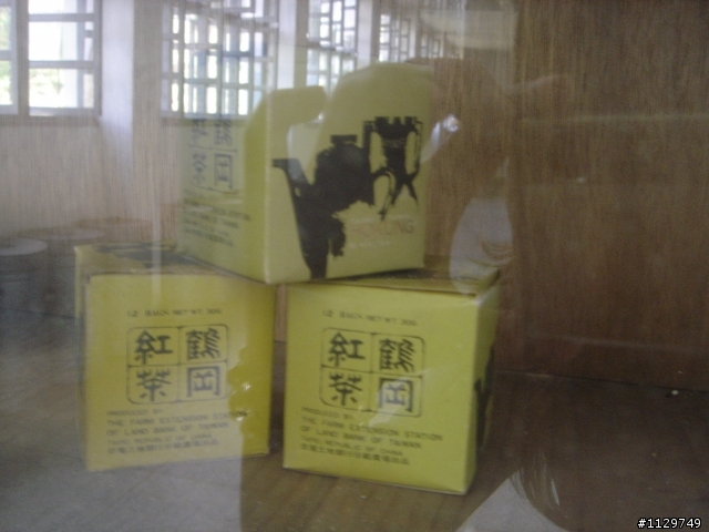 橫渡日月潭+日月潭路線考察!