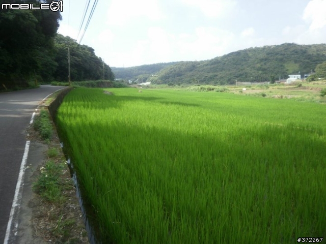 [桃園市] 市郊路線串聯分享