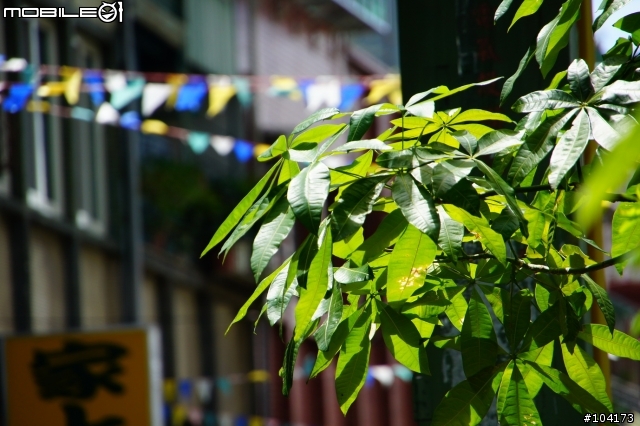 NEX_SEL18200試拍巧遇宅男女神