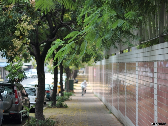 550d+50mm F1.8人像鏡