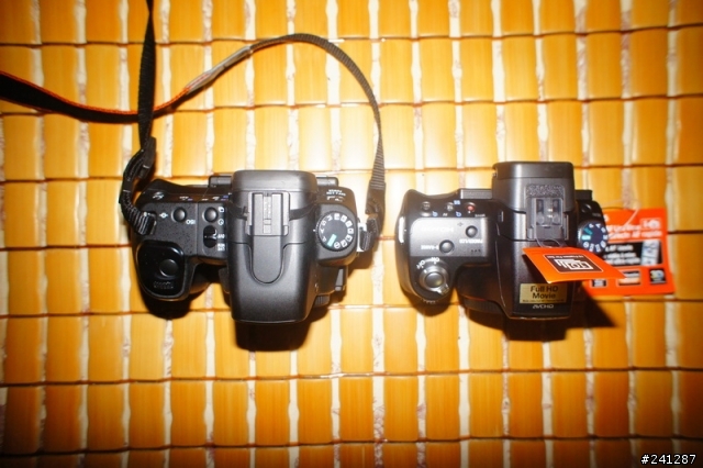 [分享]~我的雙機流A55 & NEX5